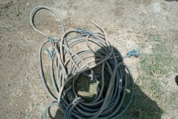 Pawang tewas saat menangkap kerbau liar di Aceh Utara, begini kronologinya