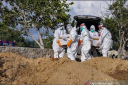 25 orang sembuh, 4 meninggal dari 115 positif COVID-19 di Sulteng