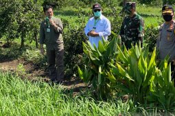 Mentan tinjau lokasi di Kalsel untuk optimalisasi lahan rawa