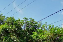 Pekerjaan jalan Tanta - Sulingan Tabalong Kalsel dinilai bagus
