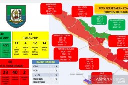 Kembali bertambah, kasus positif COVID-19 di Bengkulu jadi 66 orang