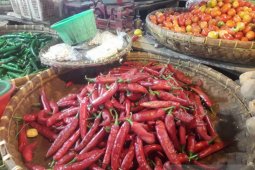Harga cabai tanjung tembus Rp40 ribu per kilo di Cianjur