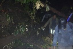 Jalur utama Cianjur Selatan putus akibat tertimbun longsor