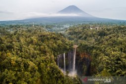 Produk ekowisata pasca-pandemi diprediksi semakin diminati
