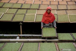 Organisasi buruh berharap pemerintah pertimbangkan kembali kenaikan cukai