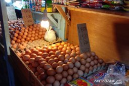 Harga telur ayam ras di pasar Ambon normal