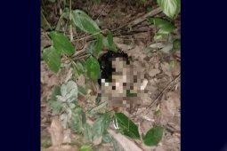 Polisi selidiki penemuan mayat bayi laki-laki