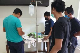 BPSPL Denpasar: Penyu mati dominan ditemukan di Jembrana-Badung