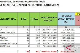 802 desa di Kaltim telah bentuk tim relawan desa lawan COVID-19
