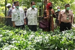Mentan minta Provinsi Maluku bangun gudang beras sendiri