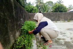 Mahasiswi Polbangtan sebut 1 meter lahan kosong cukup berarti untuk kehidupan