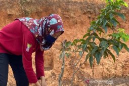 Personil KPH Balangan diminta cegah Karhutla dan penyebaran COVID-19