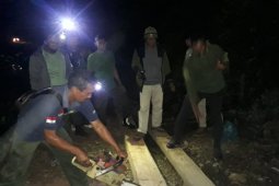 Tim BKPH Blangpidie musnahkan kayu olahan ilegal di hutan Abdya