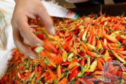 Disperindag Bangka Belitung pastikan stok cabai cukup