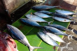 Ikan segar di pasar Ambon mulai langka