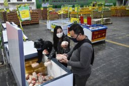 Lumbung Pangan Jatim jamin ketersediaan stok daging ayam murah