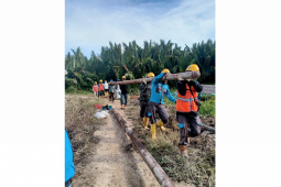 Komitmen PLN Kakap jaga keandalan pasokan listrik di tengah pandemi COVID-19