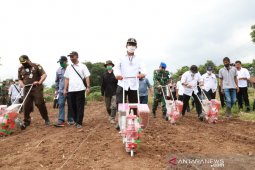 Pemkab Garut dorong peningkatan produksi jagung lokal