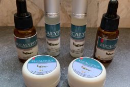 Sejumlah perusahaan global lirik antivirus eucalyptus inovasi Balitbangtan