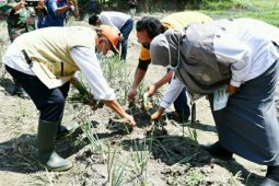 Pemkab Sergai maksimalkan pembangunan sektor pangan