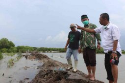 Ribuan rumah di Indramayu tergenangi banjir rob