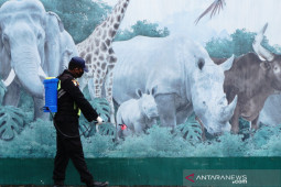 Taman Safari Prigen bersolek sambut "New Normal"