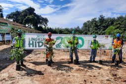 PT Pama plants trees on World Environment Day