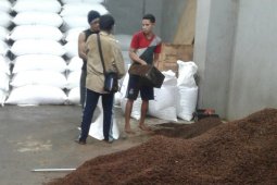 Harga cengkih dan kopra di Ambon bergerak turun