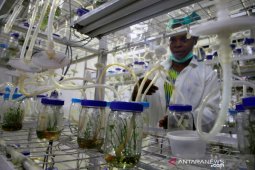 Berita dunia - Menlu Nigeria positif COVID-19