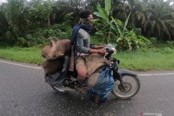 Forum Kemitraan Pemberdayaan SAD dorong pengintegrasian lembaga pemerintahan