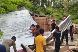Rumah kepala desa di Aceh Timur ambruk akibat pohon sawit tumbang