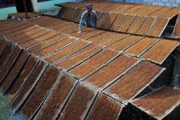 Petani tembakau di Siulak Kerinci