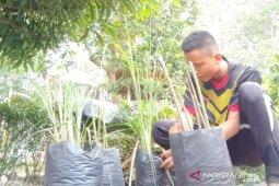 COVID-19 tak tahu kapan berakhir, mahasiwa Polbangtan Medan tanam rempah