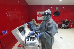 WHO: Golongan pendonor plasma harus sama dengan pasien COVID-19