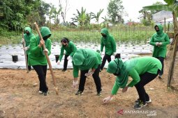 Persit KCK Tanam Sayur