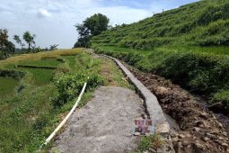 Dapat Bantuan RJIT, Petani Mojokerto Siap Hadapi Musim Tanam II