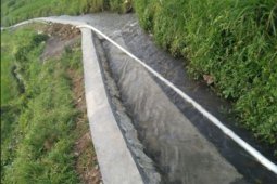 Areal sawah program Rehabilitasi Jaringan Irigasi Tersier (RJIT)