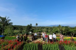 Agrowisata Tamansuruh Banyuwangi jadi bagian program pengembangan kawasan strategis pariwisata nasional