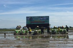 Ini kata bupati terkait tanam serentak musim gadu 2020