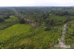 Kondisi kelistrikan Kalbar rawan gangguan faktor alam