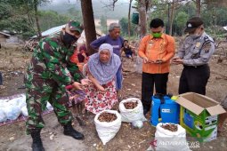 Insaf, tutup cafe masyarakat Kapuran Tapsel bertani