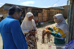 PMII Madina bersama SMGP bagikan masker gratis