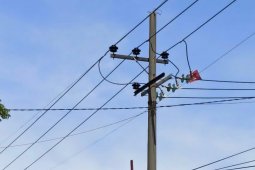 PLN Jatim catat 49 kali listrik padam akibat layang-layang