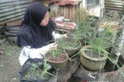 Polbangtan Medan bantu warga ciptakan ketahanan pangan rumahtangga