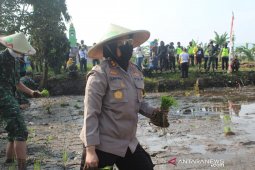 Aksi budidaya digagas Polres Sukabumi bantu tingkatkan ketahanan pangan