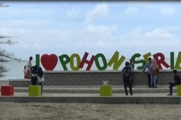 Objek Wisata Pohon Seribu Sasak Pasaman Barat kembali ramai dikunjungi warga