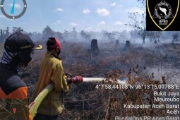 Kebakaran lahan di Aceh Barat masih sulit dipadamkan