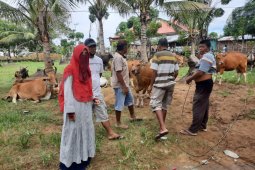 Disnakkeswan Gorontalo Utara optimalkan sosialisasi pencegahan antraks