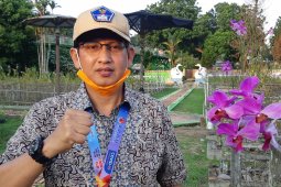 Enam warga Merangin sembuh dari COVID-19