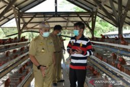 Jaga ketahanan pangan Babel, Gubernur Erzaldi kunjungi usaha peternakan ayam